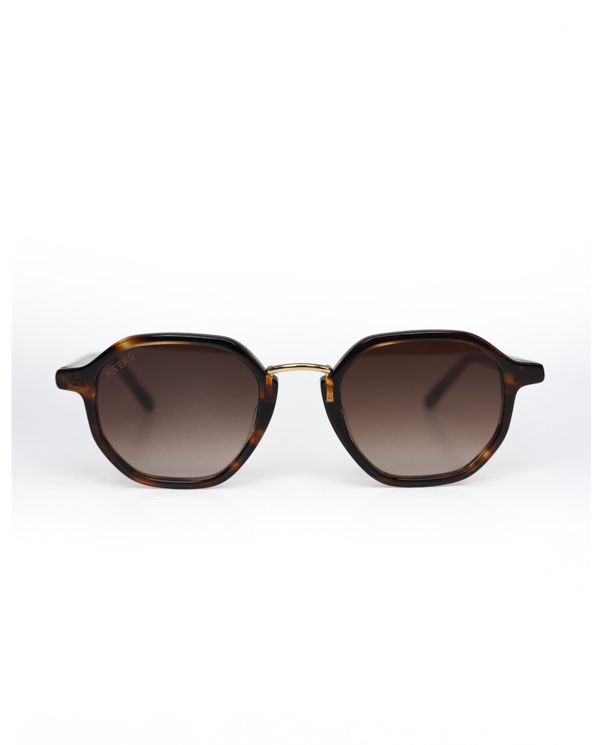 HAYES | Tortoise
