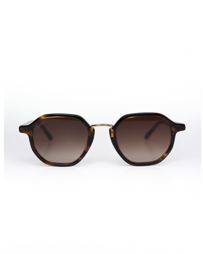 HAYES | Tortoise
