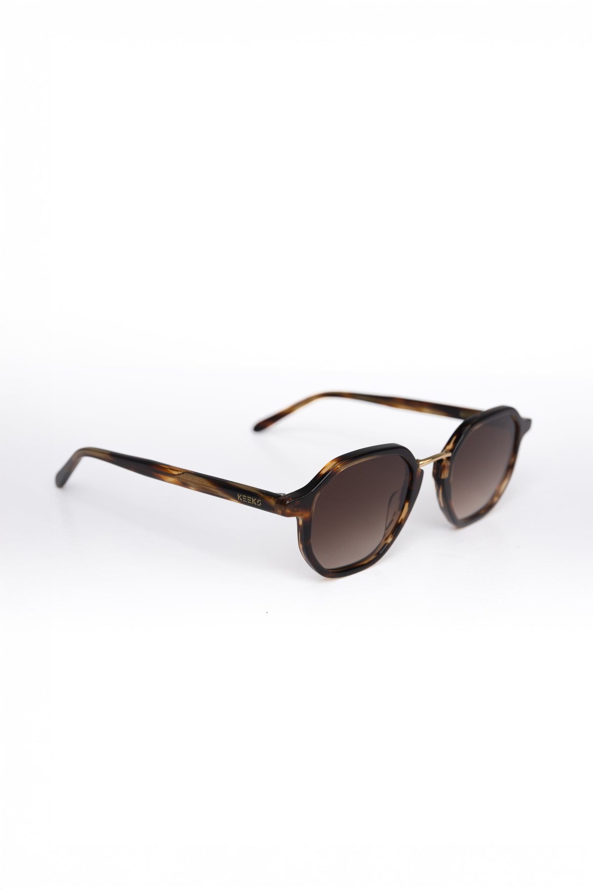 HAYES | Tortoise