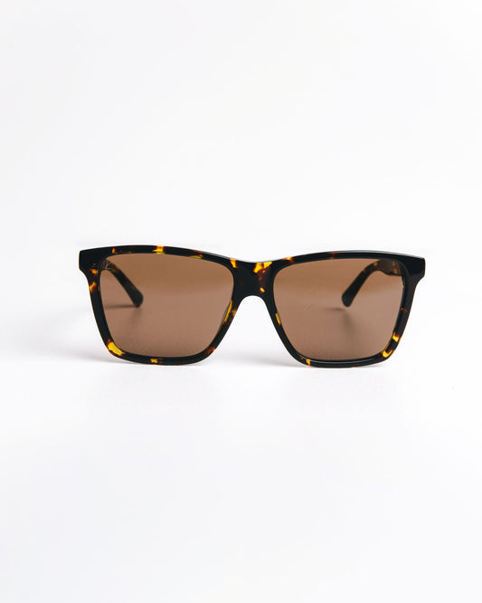 BERKELEY - Tortoise